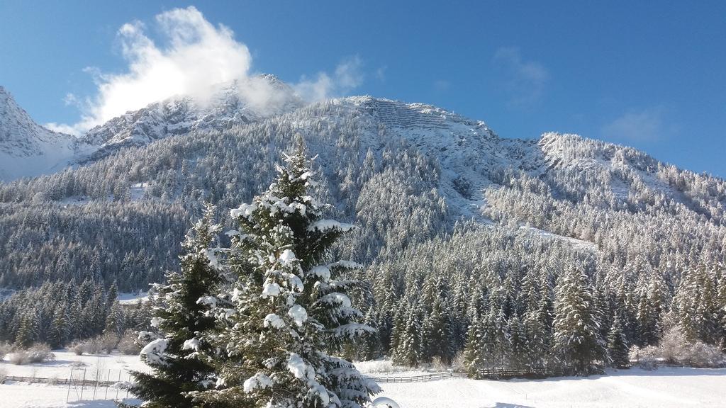 Pension Alpengruss Heiterwang Bagian luar foto